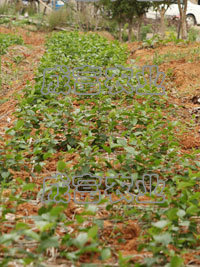 ������޼���ע���ϸ��