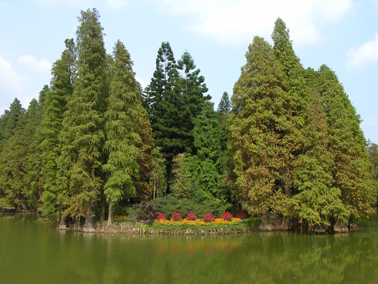 �̴�����ʶ���ɼ